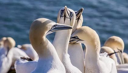 开云登录入口地址-【早报】2020不愧是你！圣诞节都没好消息